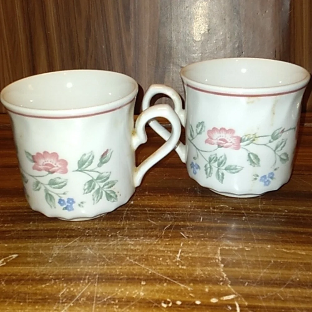 Churchill England Briar Rose creamer sugar salt pepper gravy boat cups